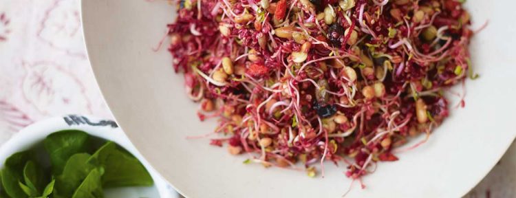 Bietensalade met quinoa en kiemgroenten - Gezond aan tafel - recept