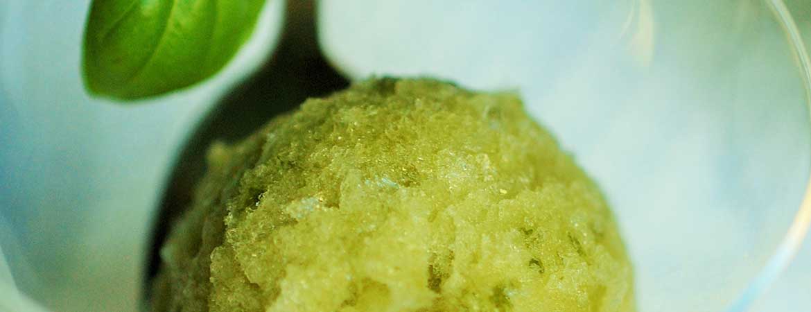 Basilicum sorbet