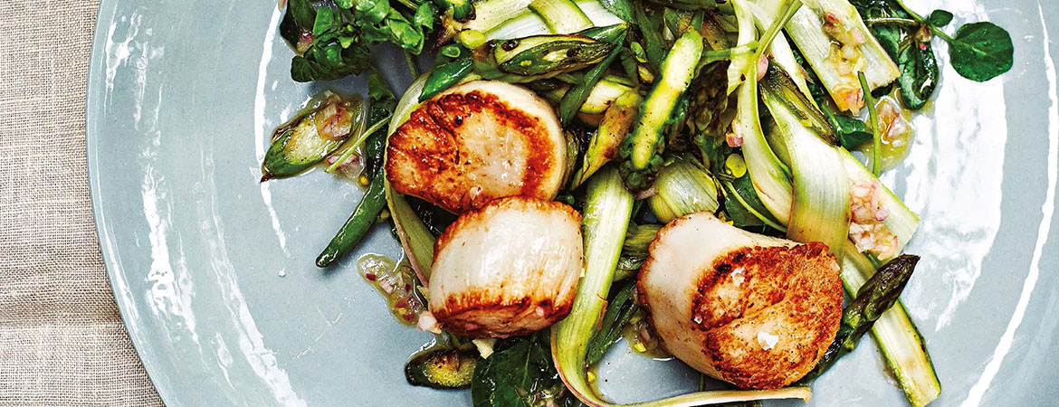 Sint-jakobsschelpen met waterkers en asperges