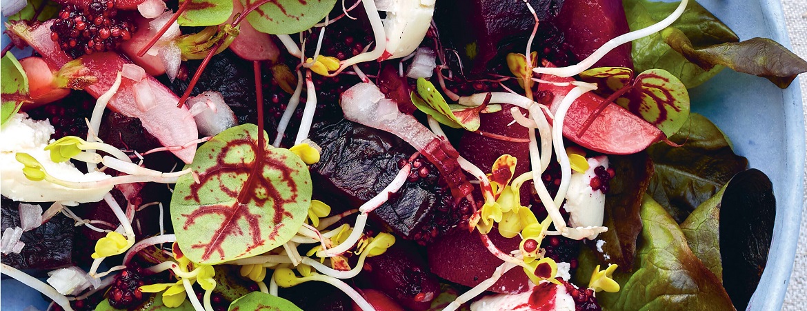 Rode bieten salade met peertjes (Niven Kunz)