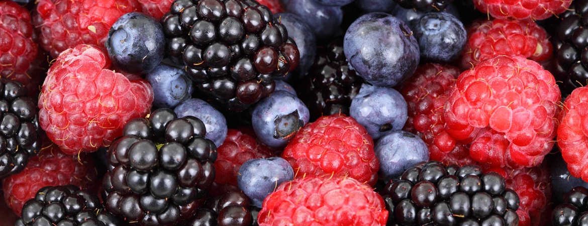 Geitenyoghurt met bosvruchten en moerbeien