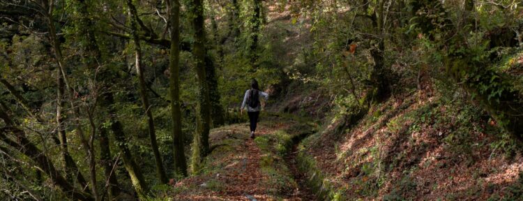 Do’s en don’ts tijdens meditatief wandelen