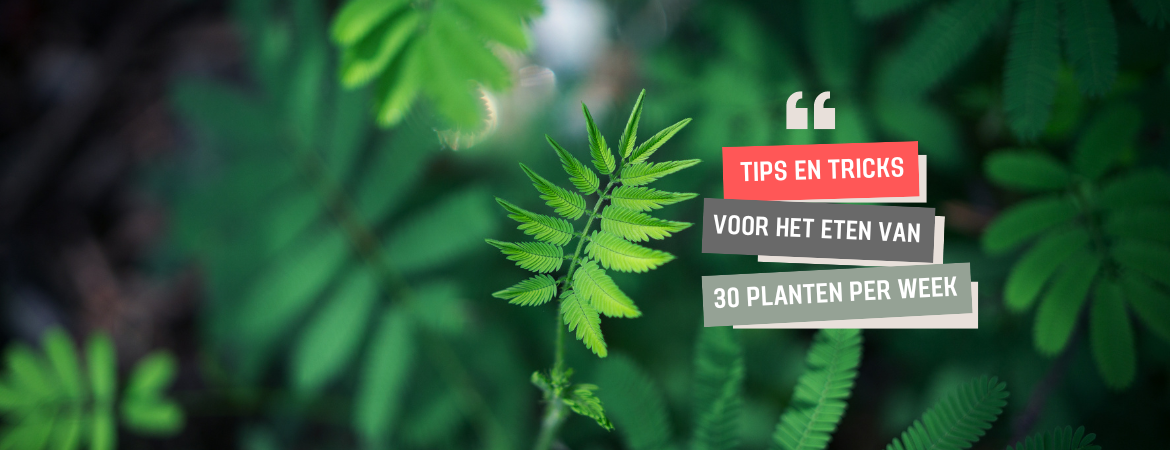 Tips en tricks voor het eten van 30 planten per Week ⋆ Gezond aan tafel