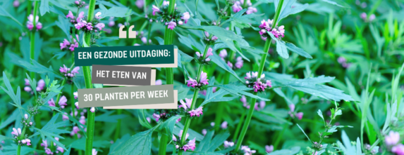 Gezond aan tafel: in beweging naar een gezonde leefstijl