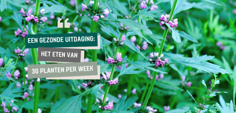 Gezond aan tafel: in beweging naar een gezonde leefstijl